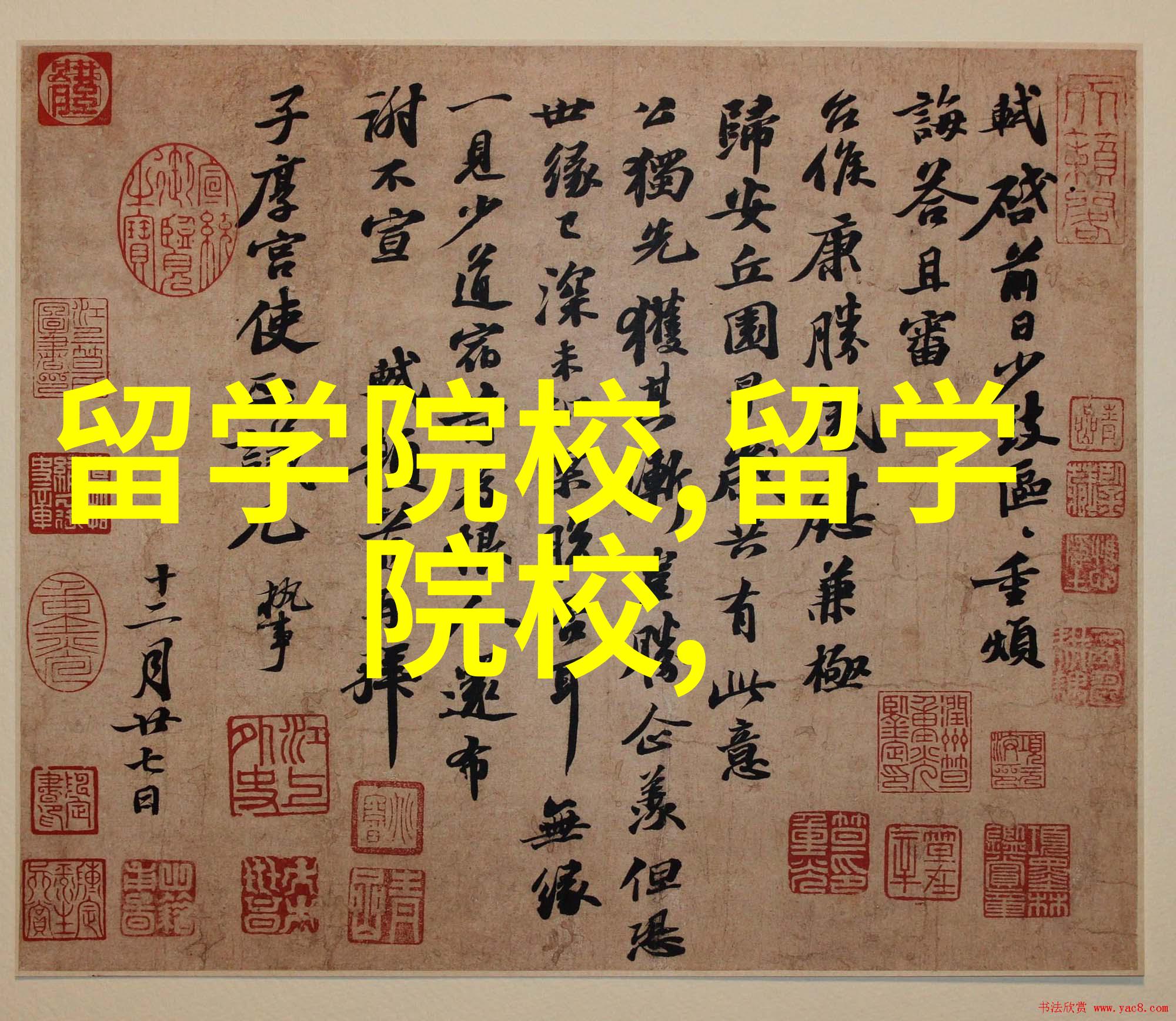美研申请好消息哥伦比亚大学STEM项目增加啦
