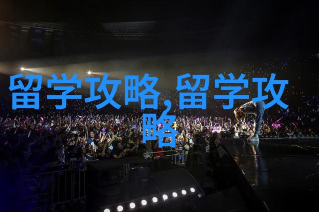 揭秘新加坡私立本科申请公立硕士秘籍