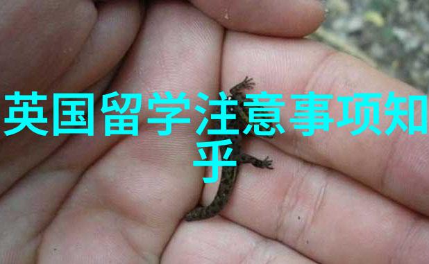 中国累计留学人数达404万八成留学生回国发展