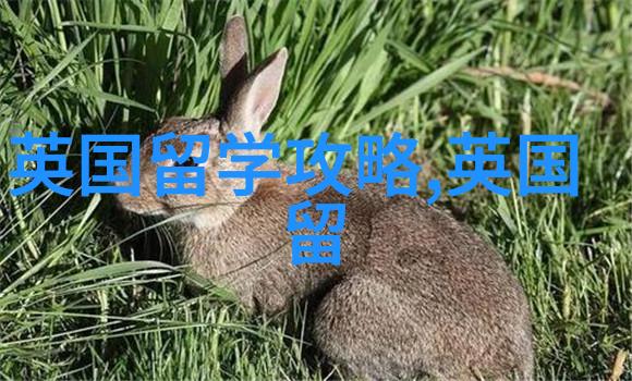 UKVI单科重考9月10日开放报名首场考试9月24日举行