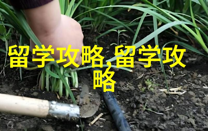 泰国留学十种适合泰国留学的人