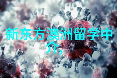 伦敦玛丽女王大学推出2025年考研失利同学深造解决方案