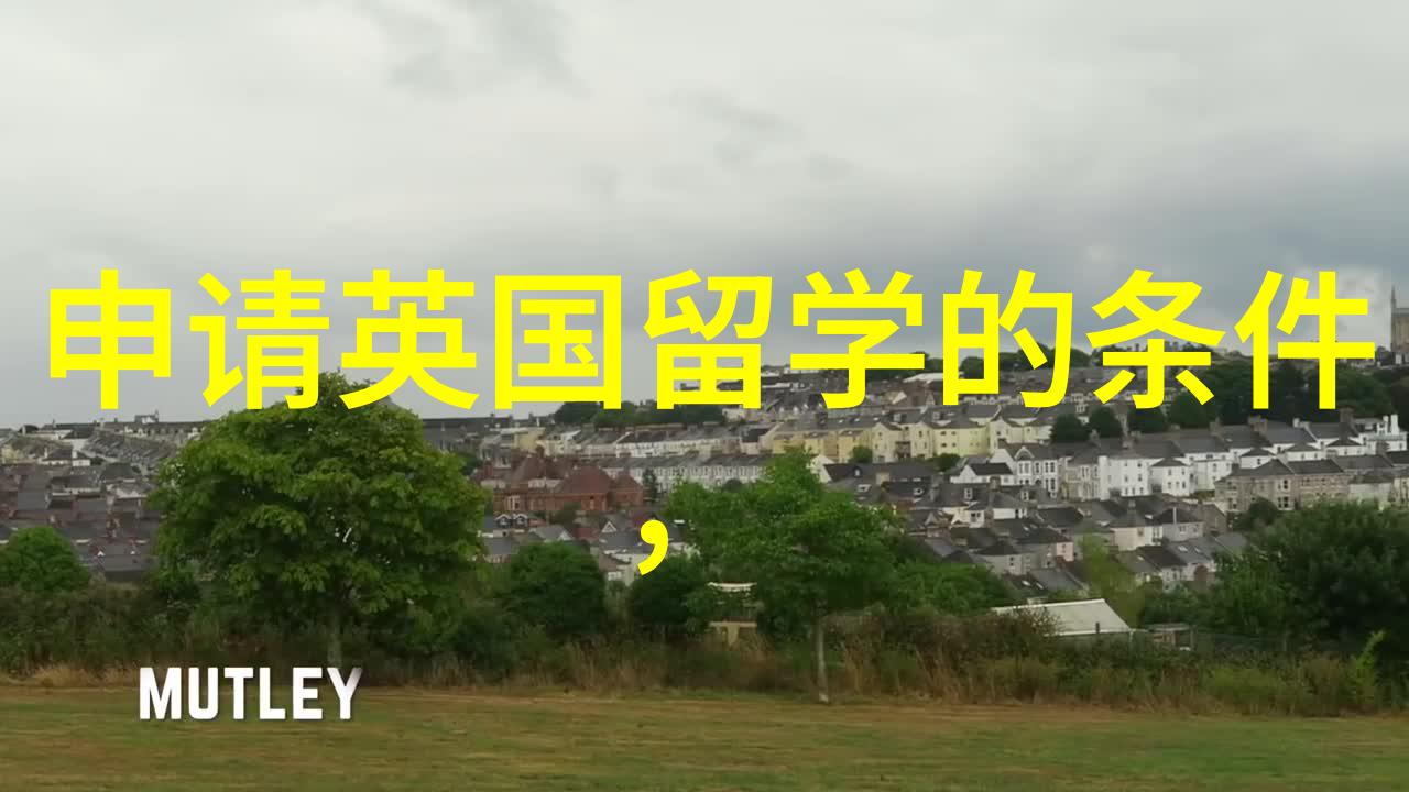 莱斯特大学 2025年春季硕士课程名单