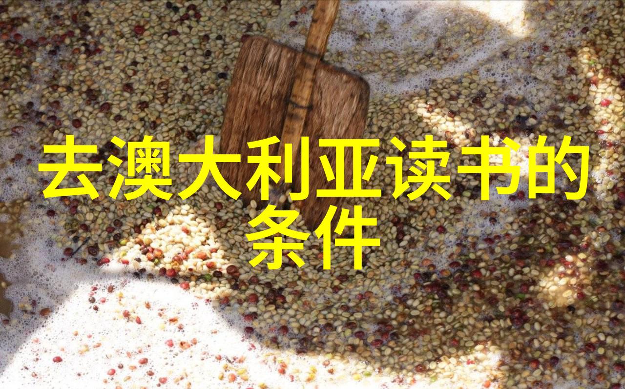 加拿大再次减少2025年学签配额毕业工签配偶政策收紧