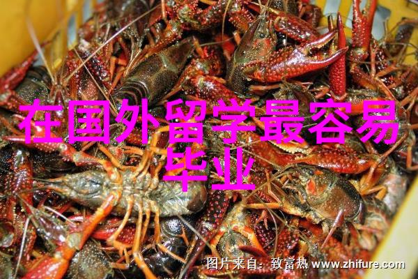 英国研究生留学选择什么专业好
