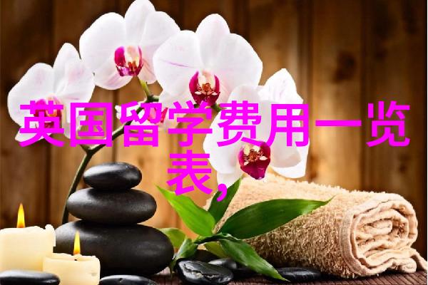 雷丁大学官宣接受高考成绩直申本科